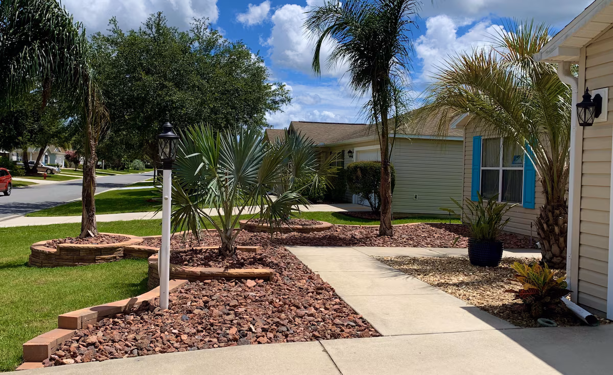 Palm-lined front walkway